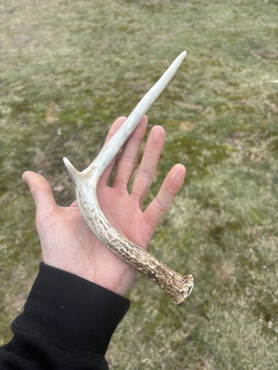 Chris Webby tweet media