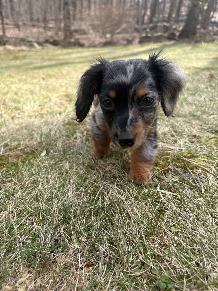 Chris Webby tweet media