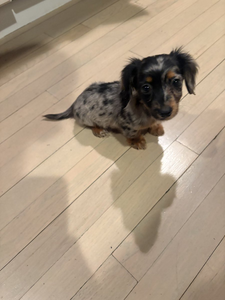 Chris Webby tweet media