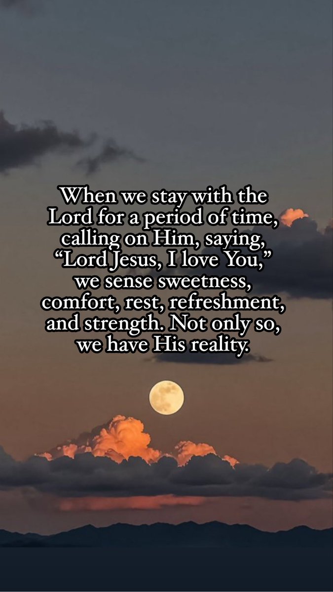 nelsonbibit tweet media