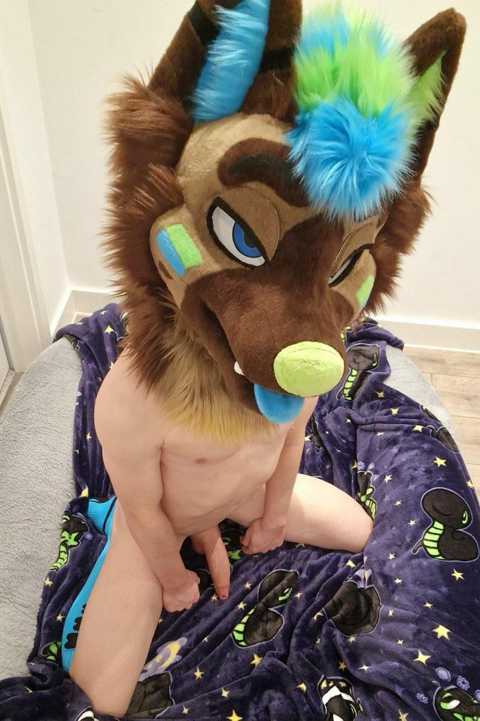 KnotShepDex 🔜 CFZ tweet media