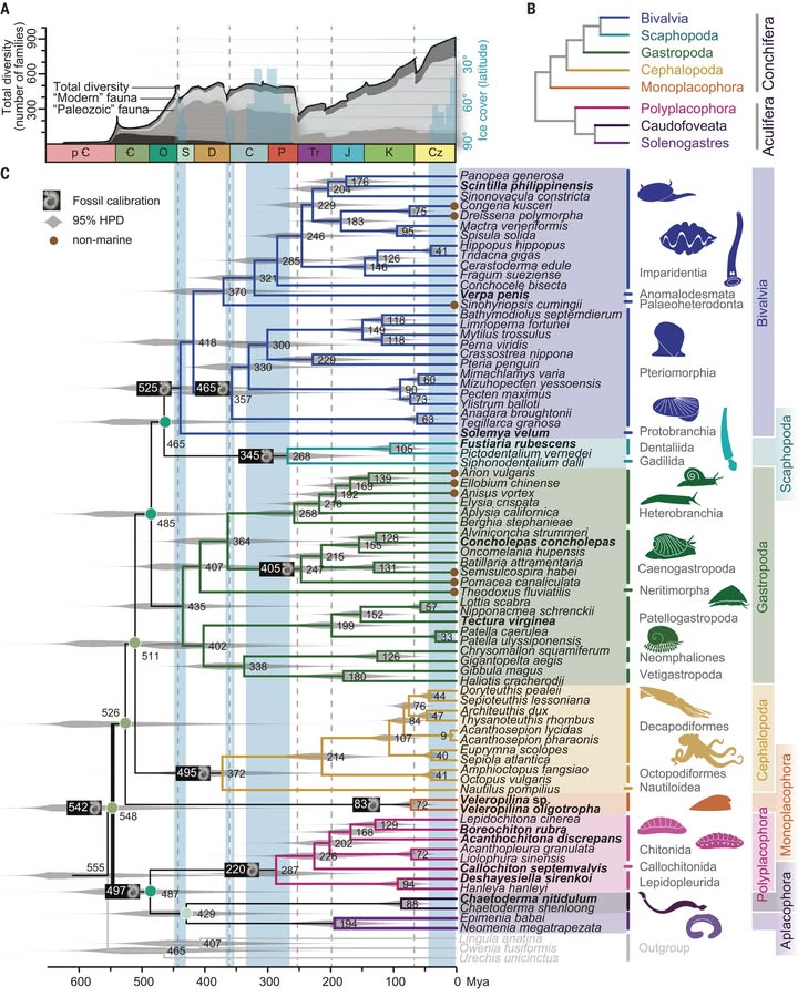 Science Magazine tweet media