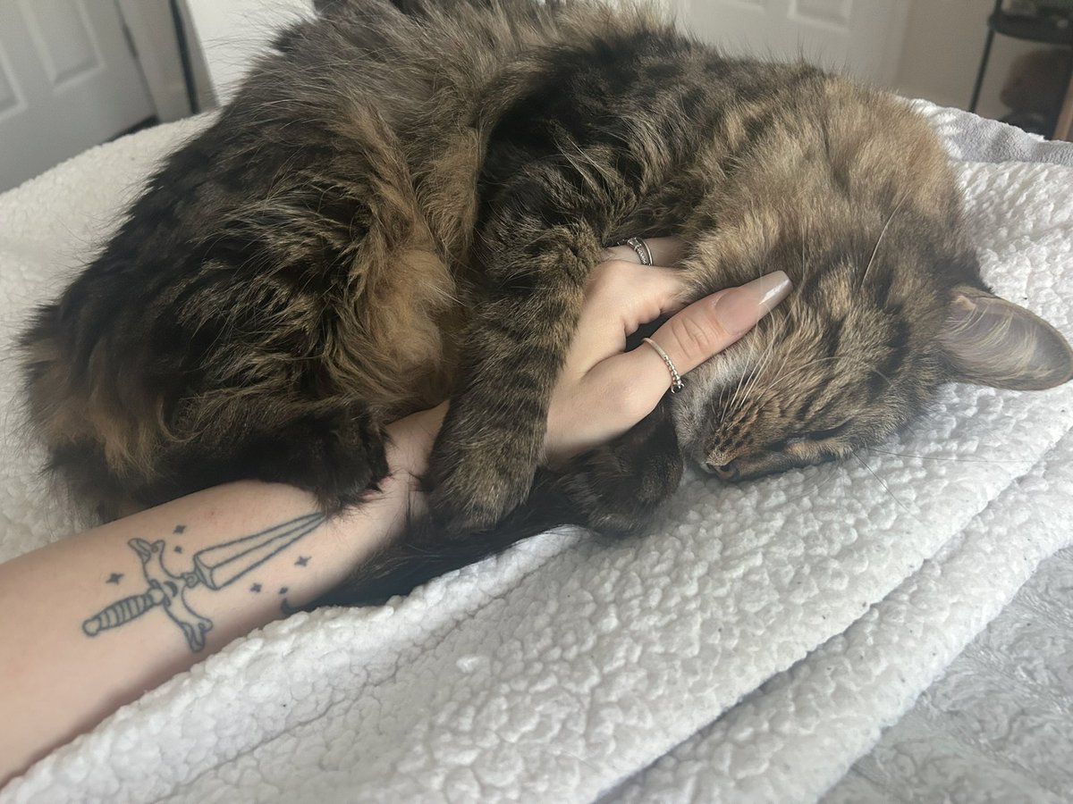 r 𝜗𝜚. ݁ tweet media