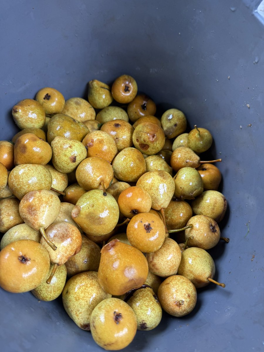 TeePee Cider tweet media