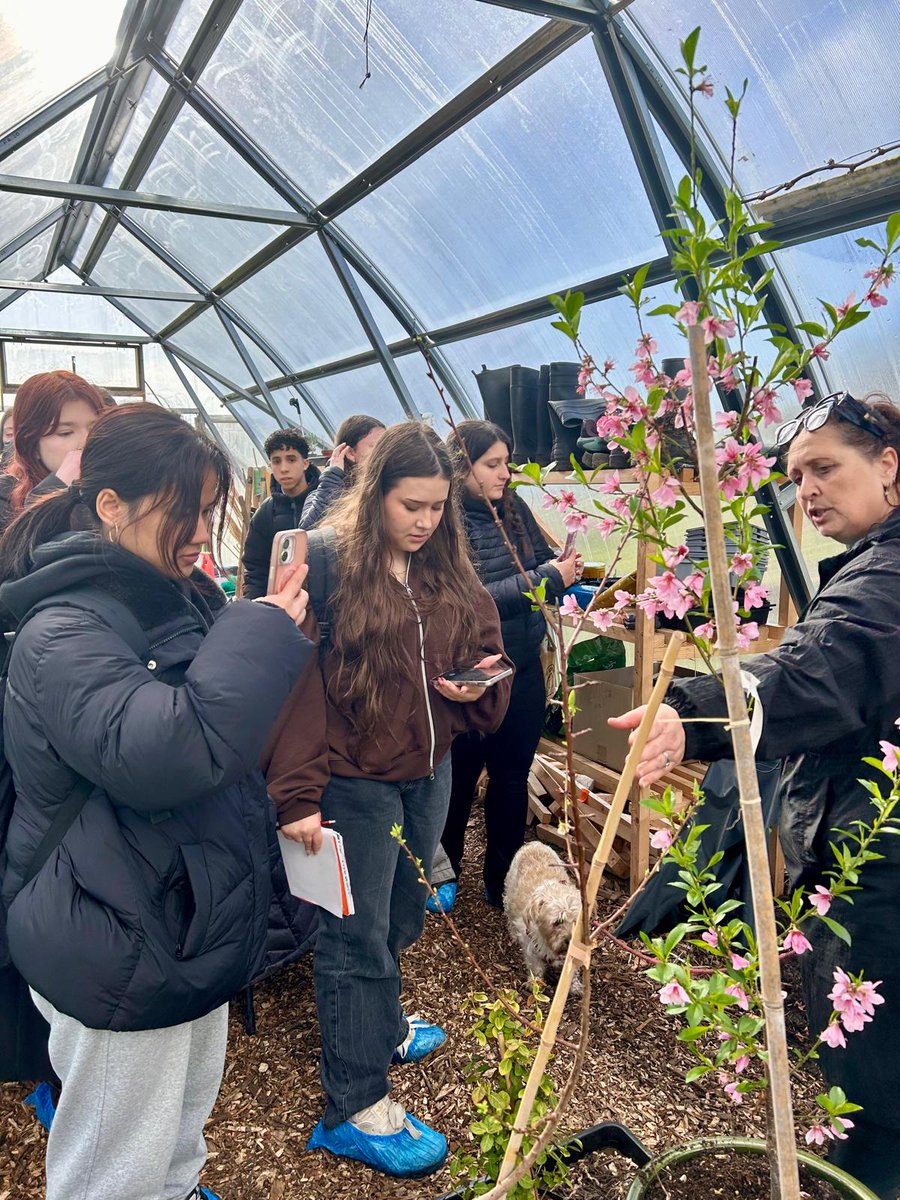 Togher Community Garden tweet media