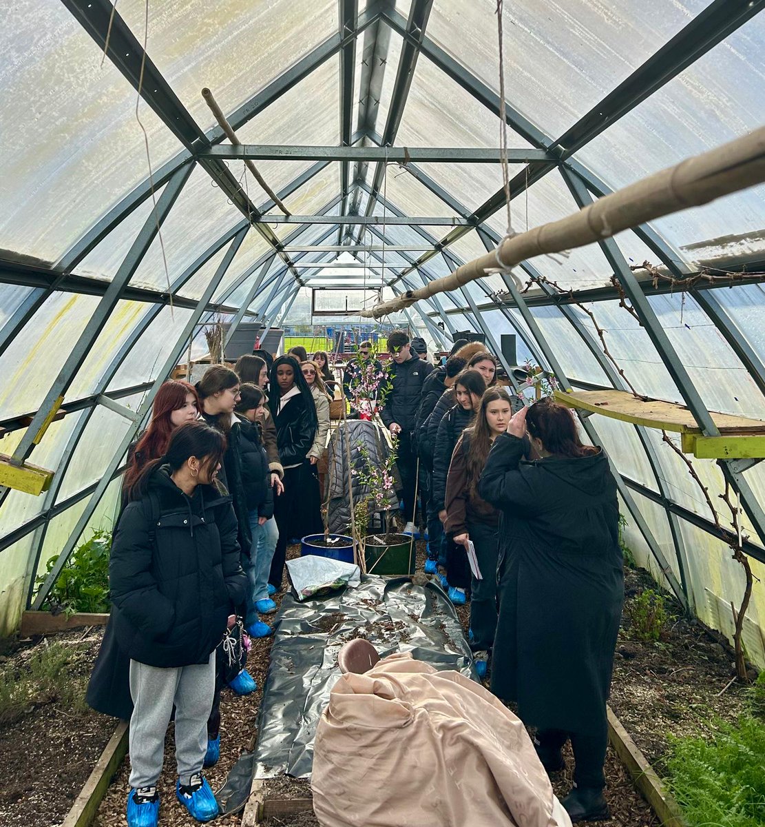 Togher Community Garden tweet media