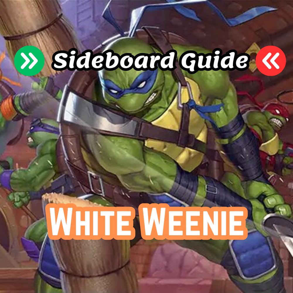 Alexandre Weber MTG tweet media