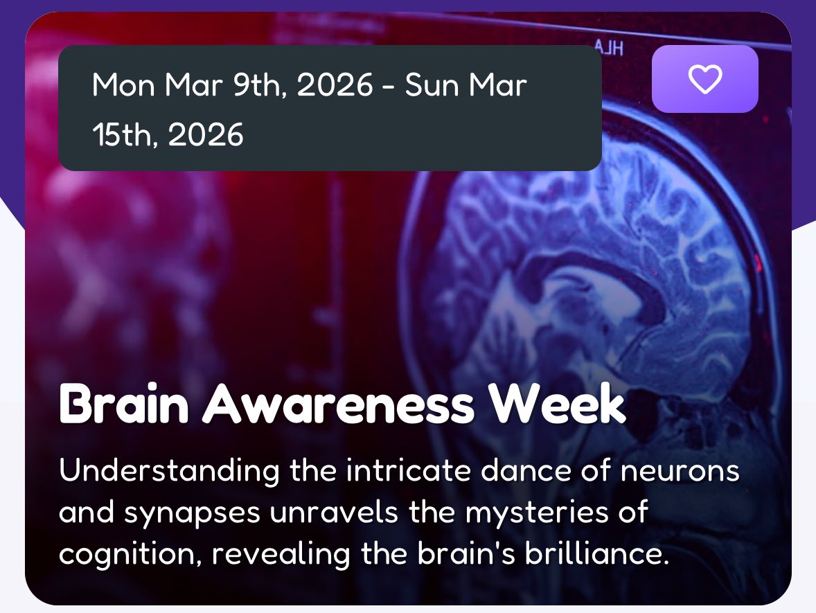 Mrs Valerio P7/6 WPS tweet media