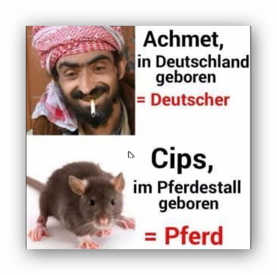 <a href="/ainyrockstar/">Anabel Schunke</a>