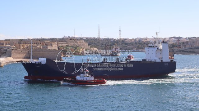 Shipguru's tweet image. #finnish #Roro #MIMER #leaving #grandharbourmalta - 12.01.2026 - maltashipphotos.com - NO PHOTOS can be used or manipulated without our permission @worldshipsoc @ShippingTV @shippingdata @ShipsInPics @ShippingMag @ShippingMagnate @ShipNews @tradewindsnews