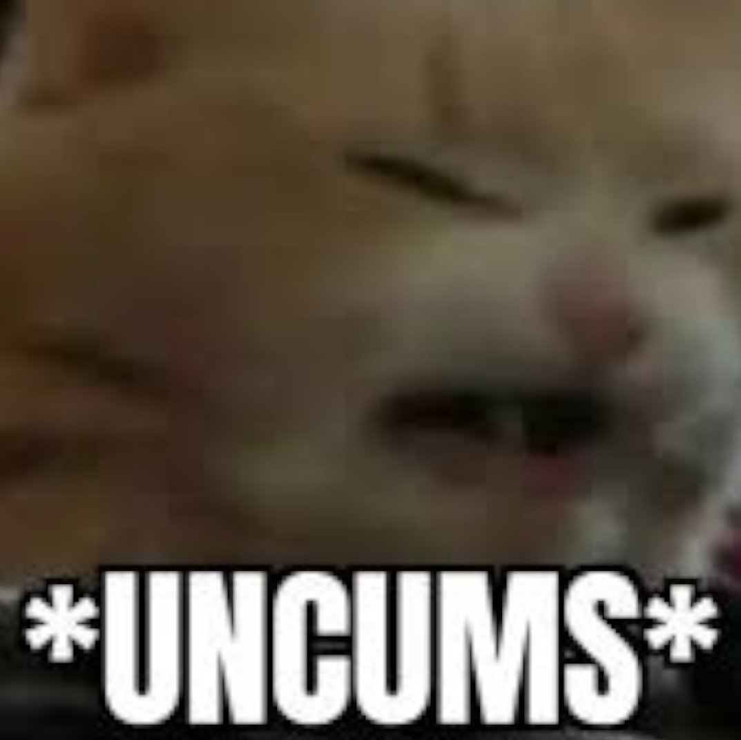 Milo is tired tweet media