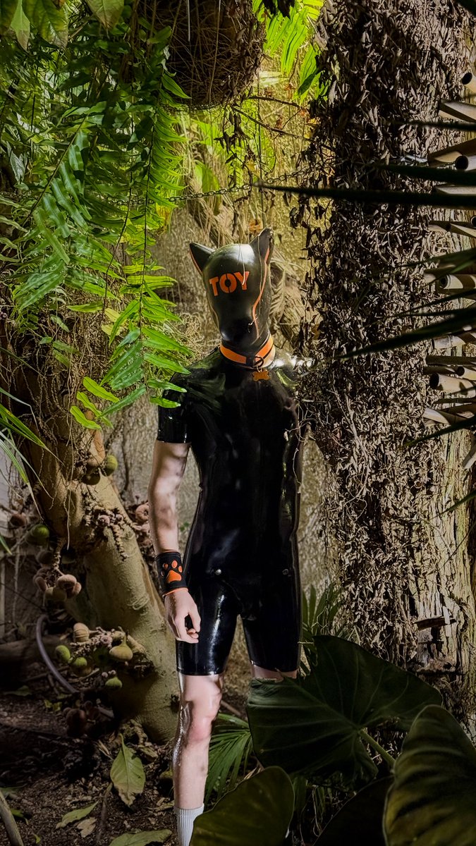 Pumpkin (10.2K) tweet media