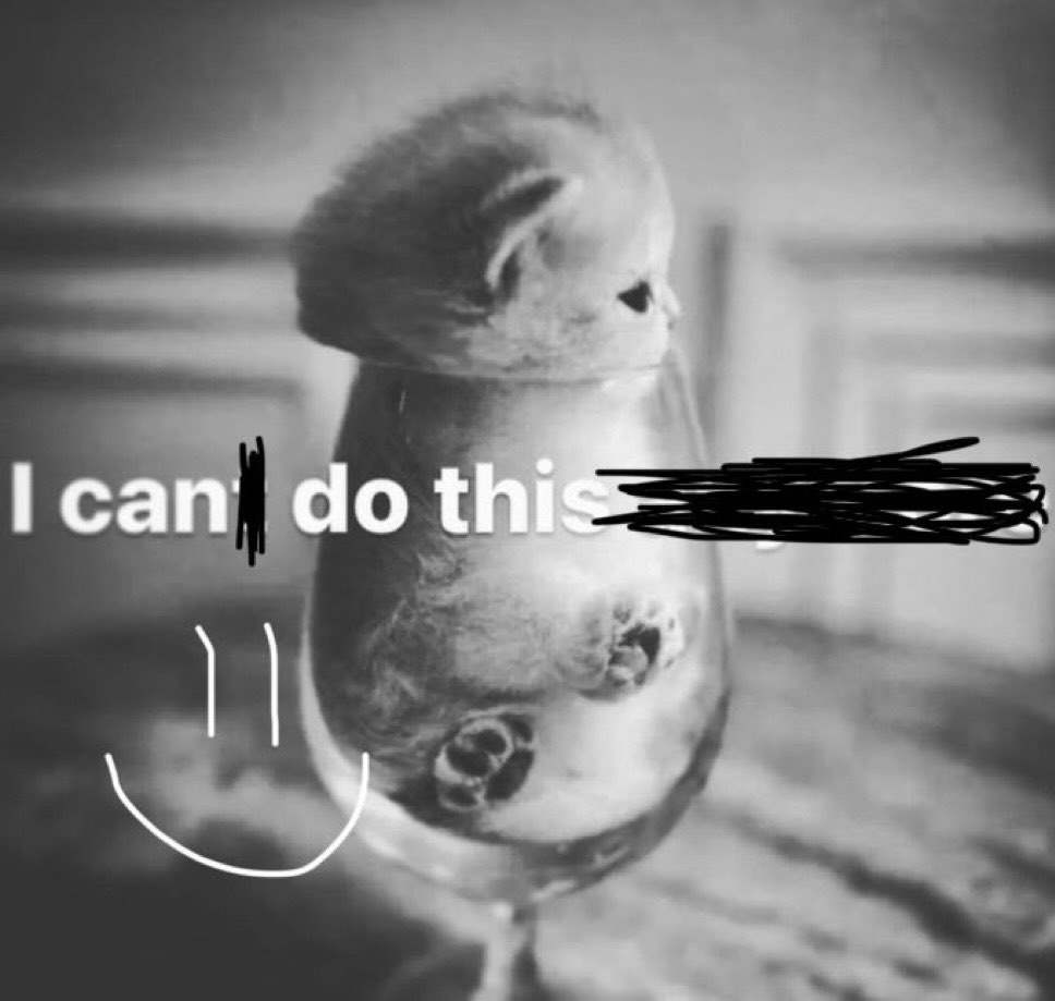 brainrot dimension tweet media