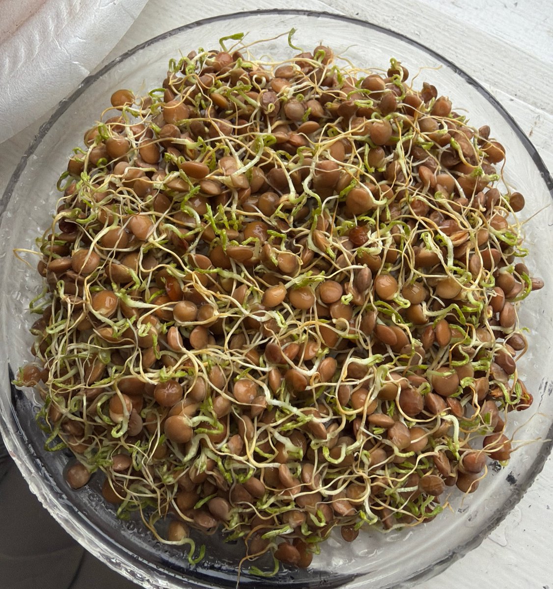 anteverp's tweet photo. تا چش آخوند دراد https://t.co/4Ck0QMKTQd