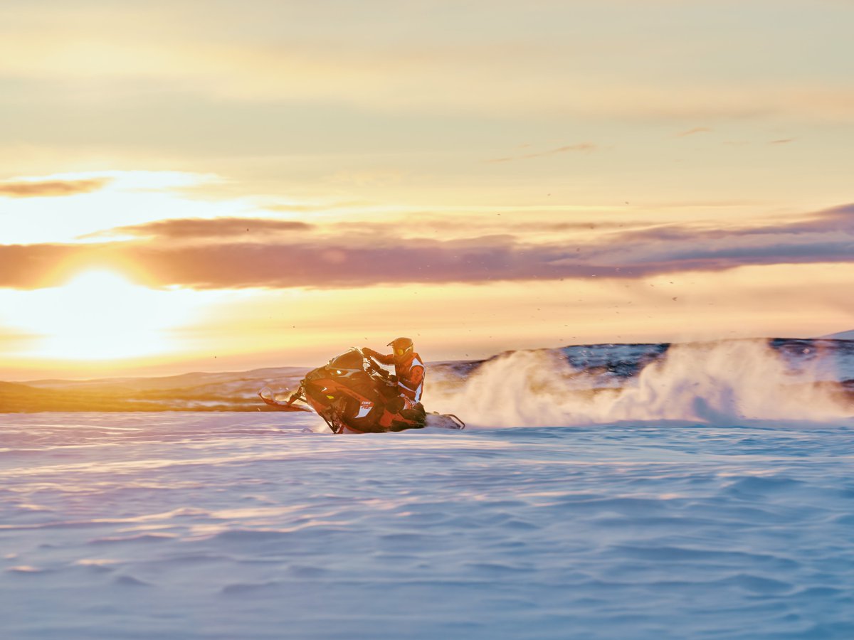 Snow Goer tweet media