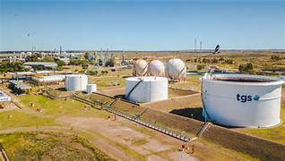 S. Mandolesi Burgos tweet media