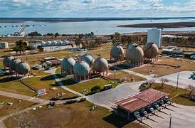 S. Mandolesi Burgos tweet media