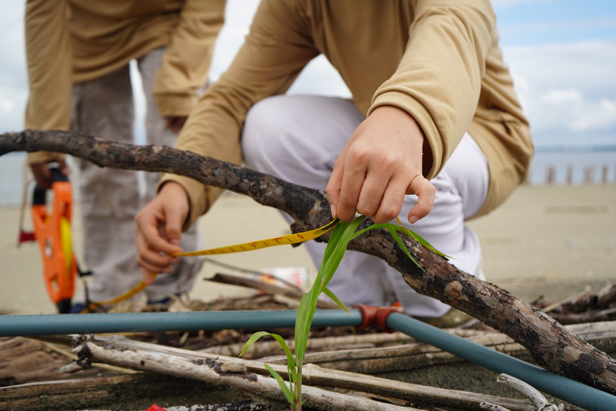 Facultad de Ciencias de la Vida tweet media