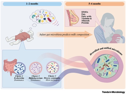 Trends in Microbiology tweet media
