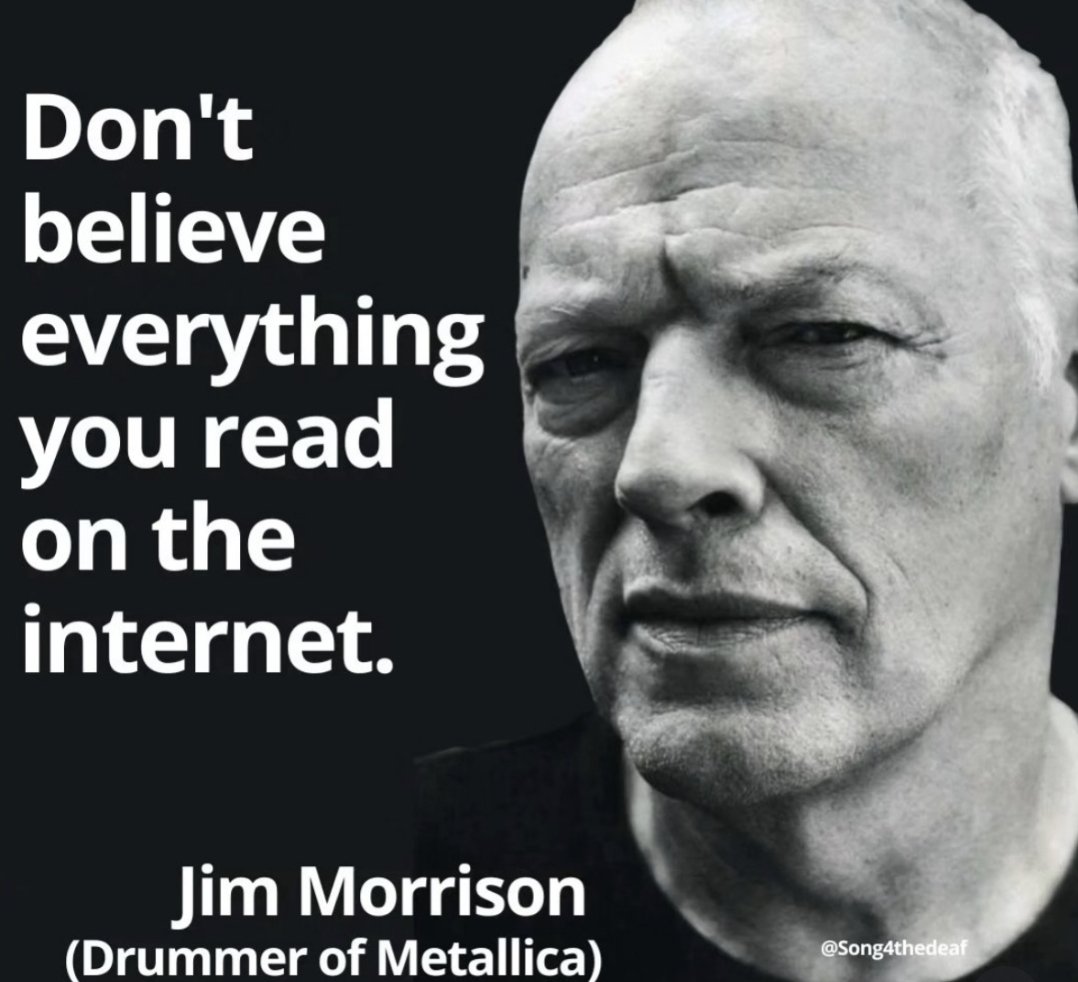 manateenative2 tweet media