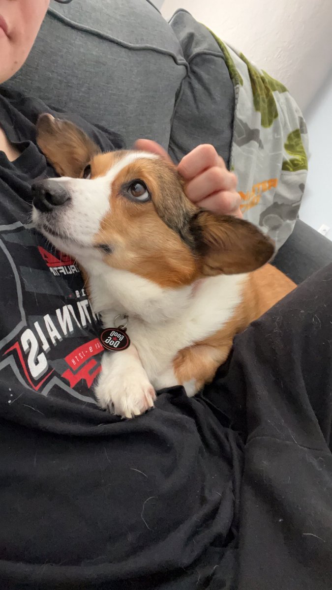 The Tortured Powerlifters Department tweet media