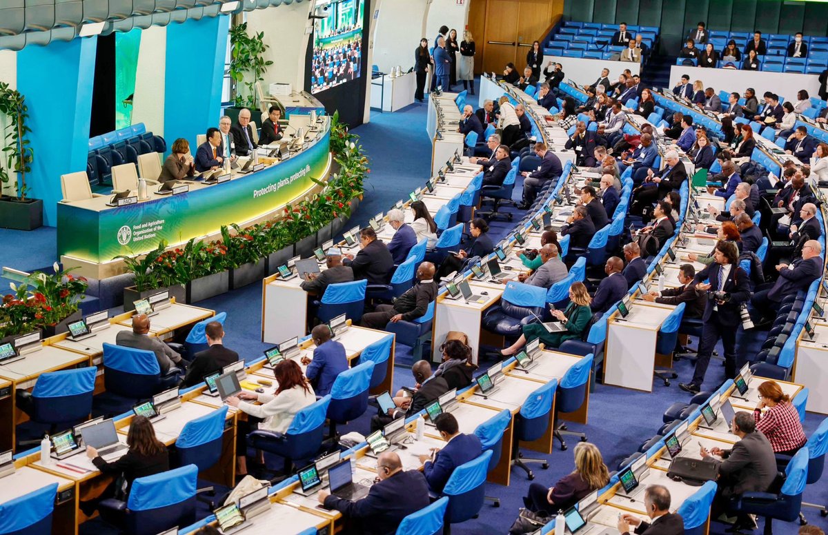OIRSAoficial's tweet photo. 👉 Durante el primer día de sesiones, los delegados dieron apertura oficial al encuentro y recibieron los mensajes de líderes globales en sanidad vegetal. Asimismo, se presentaron informes del Secretariado de la CIPF, del Grupo de Planificación Estratégica y de los órganos subsidiarios de la CMF, destacando los avances en normas internacionales y en acciones de implementación.

🧠 En la segunda jornada, las discusiones continuaron con la presentación del informe de la Presidencia de la CMF y el análisis de normas internacionales para medidas fitosanitarias que contribuyen a prevenir la dispersión de plagas y facilitar el comercio seguro.