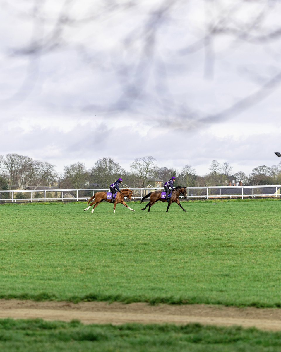 DiscoverNKT tweet media