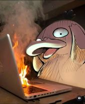 Julia Walker tweet media