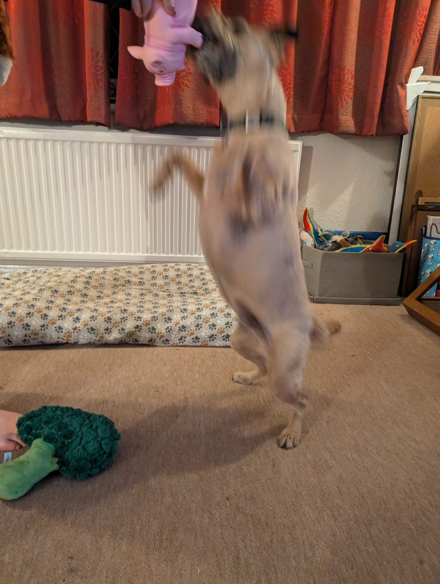 Little_mr_rockafella CBE tweet media