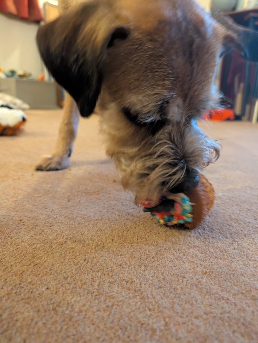 Little_mr_rockafella CBE tweet media