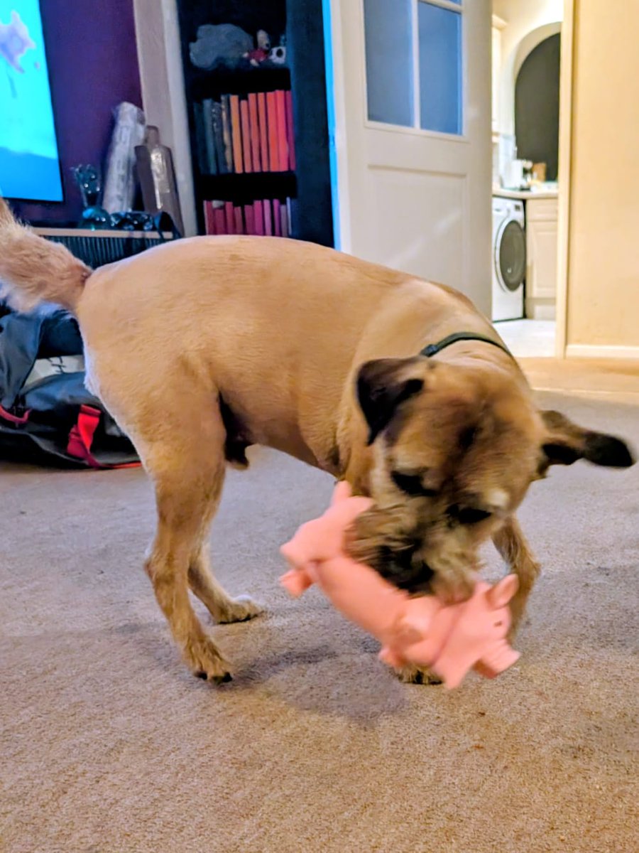 Little_mr_rockafella CBE tweet media