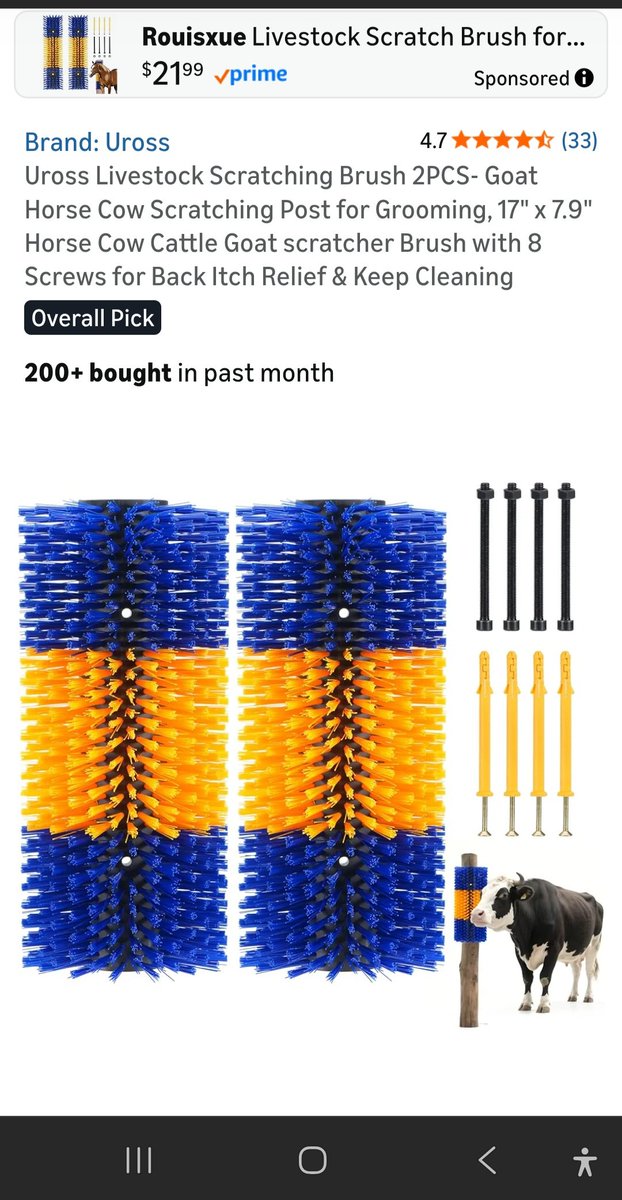 DKathleen tweet media