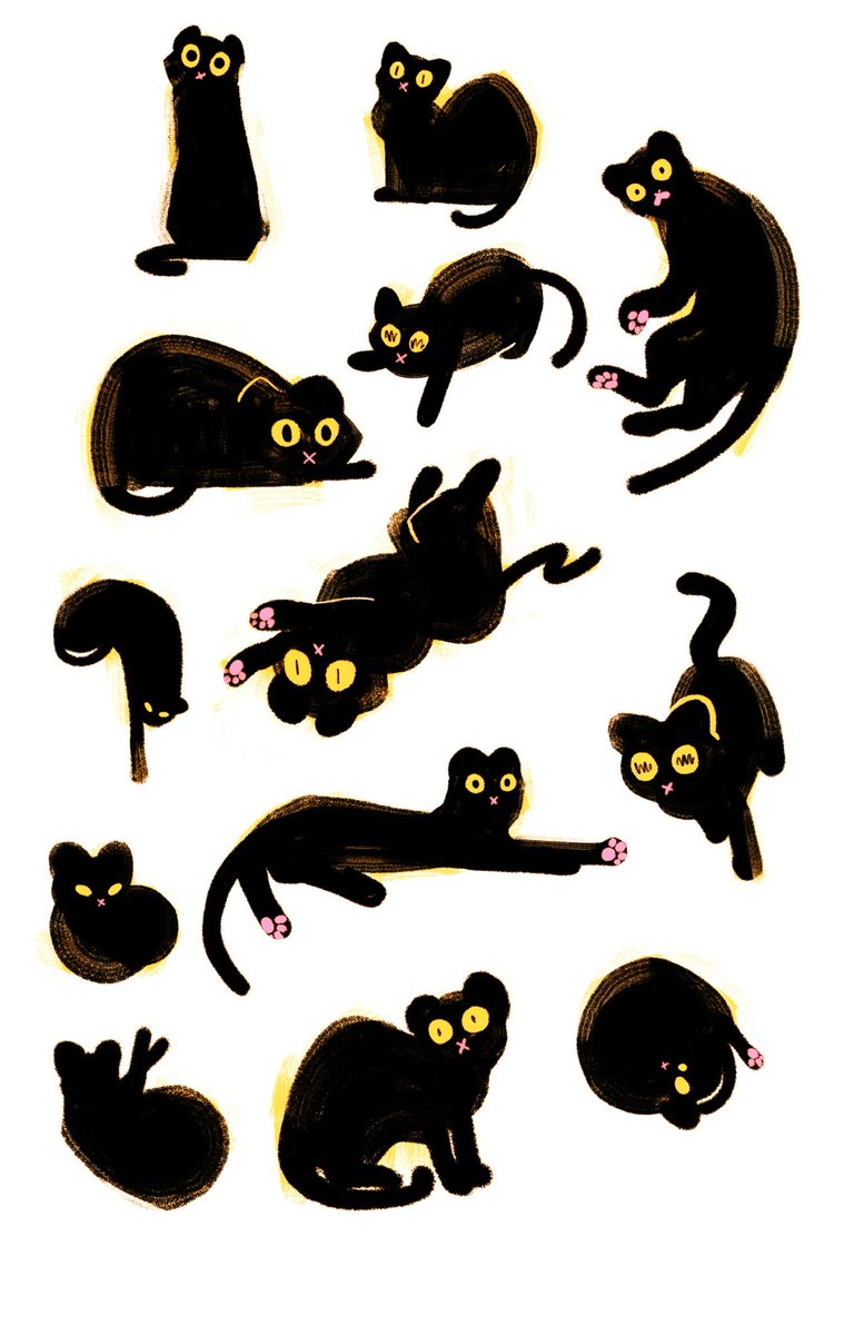 bradley a clayton tweet media