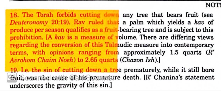 IDFsoldiergirl's tweet image. #Torah forbids cutting down tree bearing fruit so this libel that Israeli settlers who are ultra religious cut down Palestinian olive trees is a lot of bunk. #Israel #Jewish
