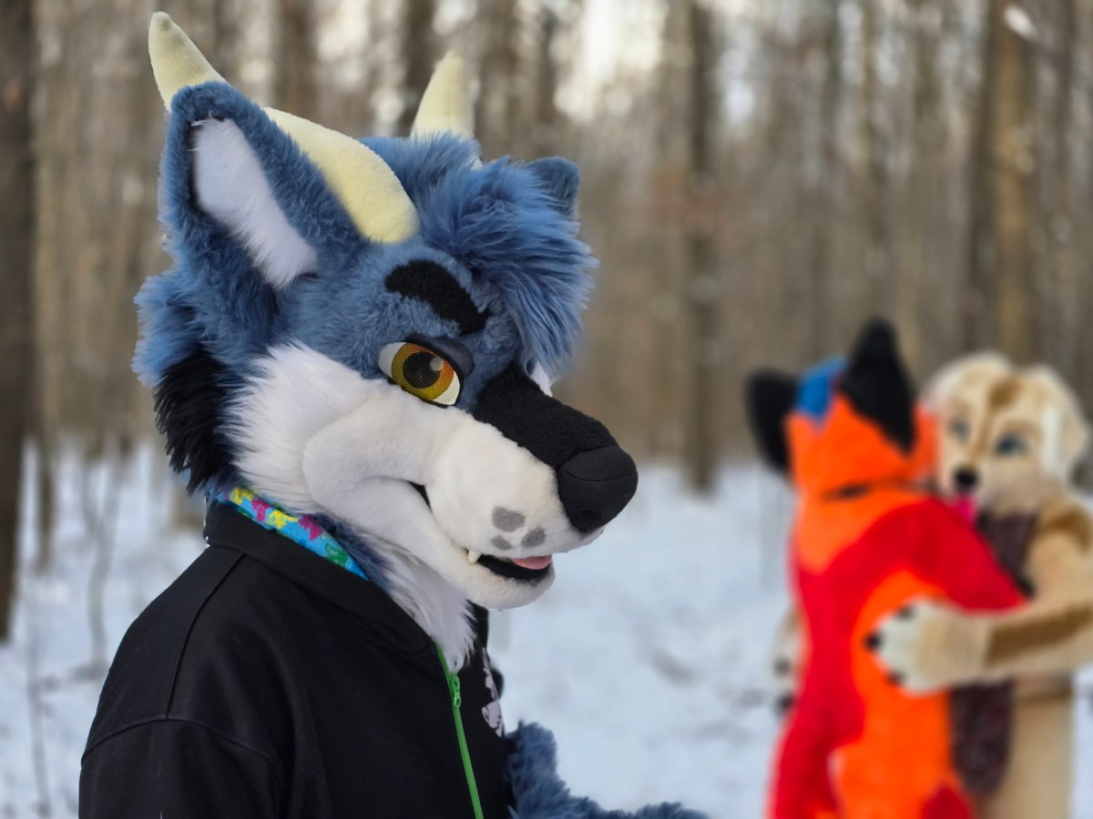 dirdwolf @ lvfc tweet media