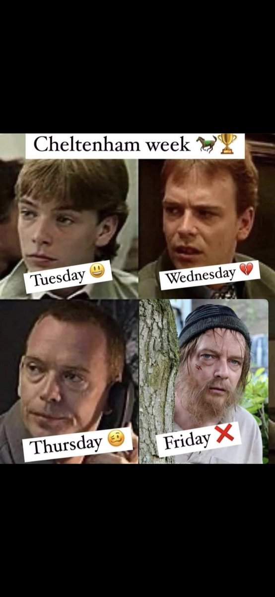 Anthony Hardy tweet media