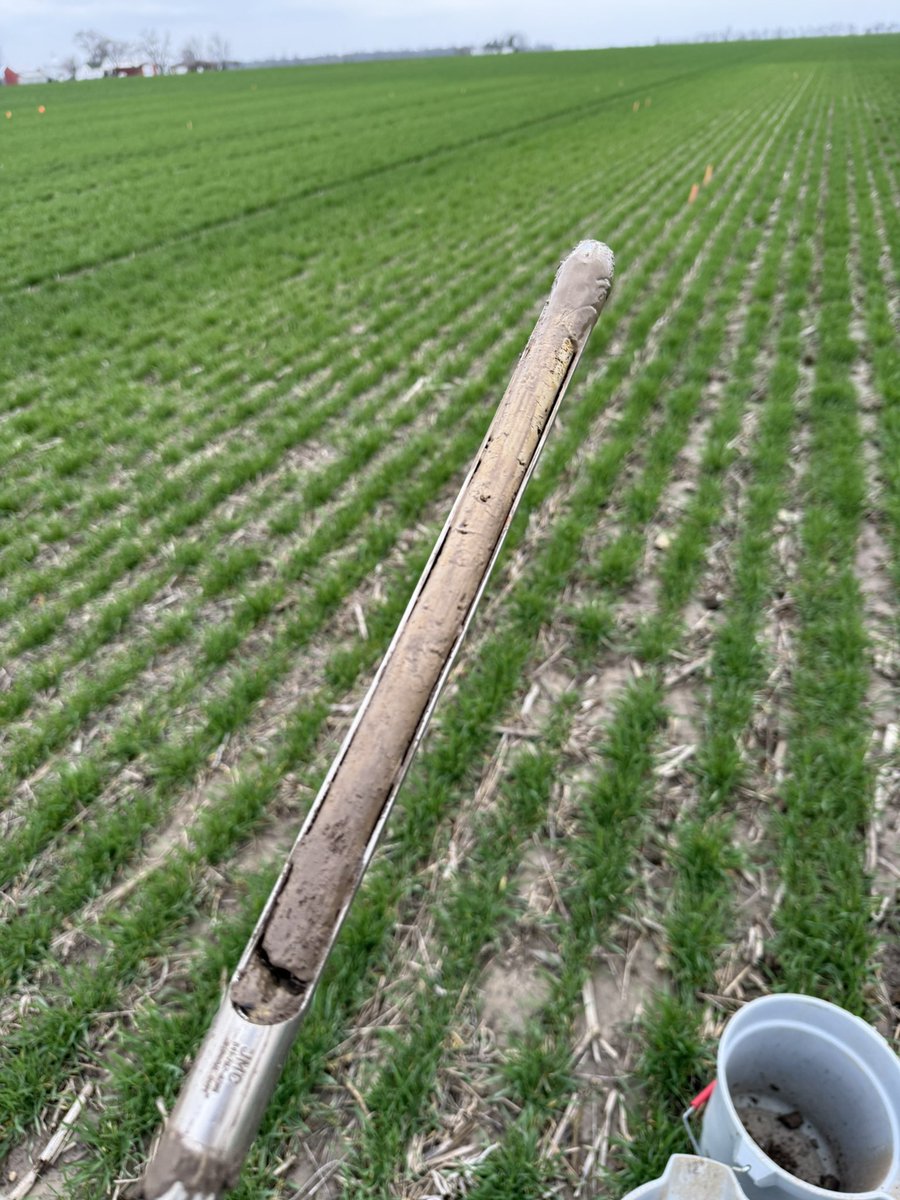 Franco Bardeggia tweet media