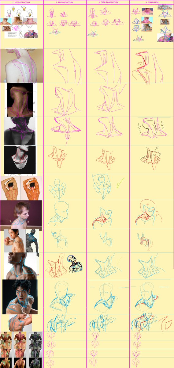 denekatecc's tweet photo. ULTRASTUDY - PHASE 1 - DAY 3 - NECK https://t.co/aEffPcGYYn