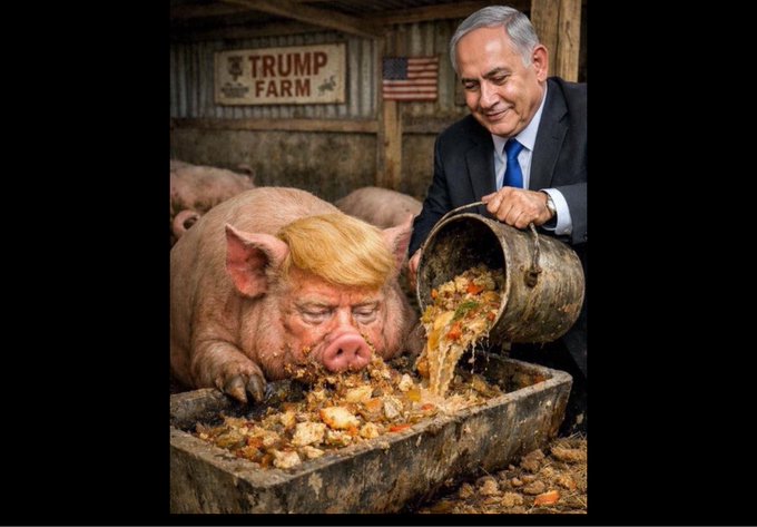 <a href="/FoxNews/">Fox News</a> By this afternoon????? Yaaaaaa! Is it done, National Ass Licker????