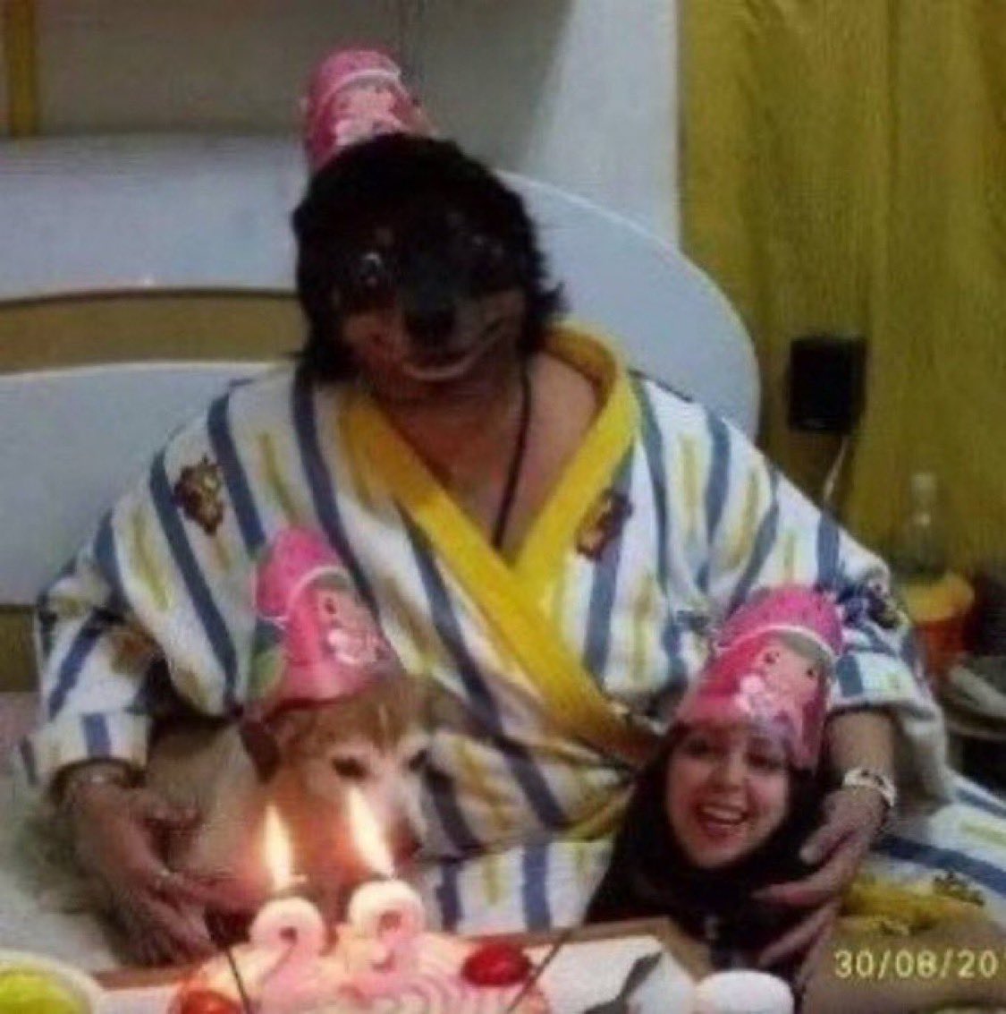 ᴶᵉᵃⁿ tweet media