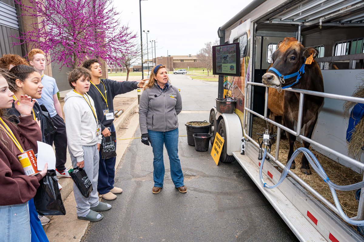 BA Public Schools tweet media