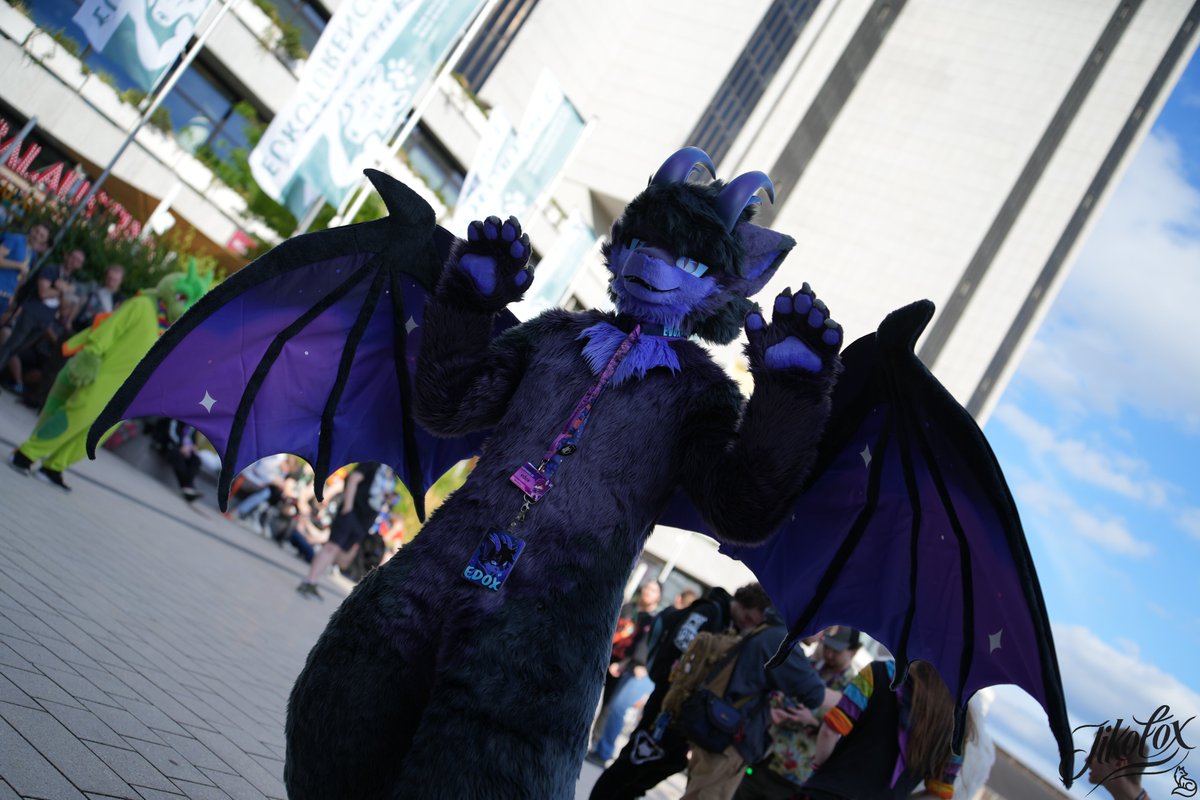 edox 🔜 DCC, EF tweet media