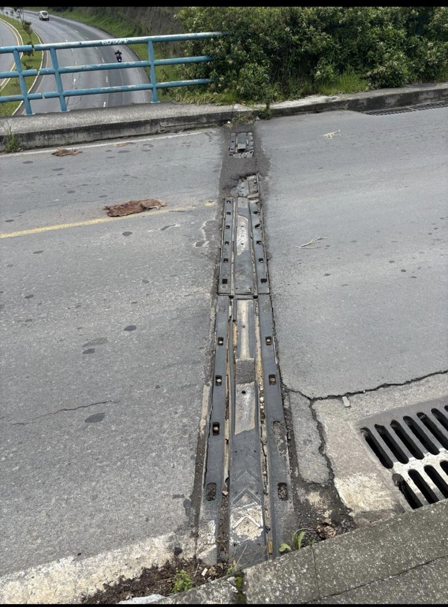 Beatriz Peñaloza tweet media