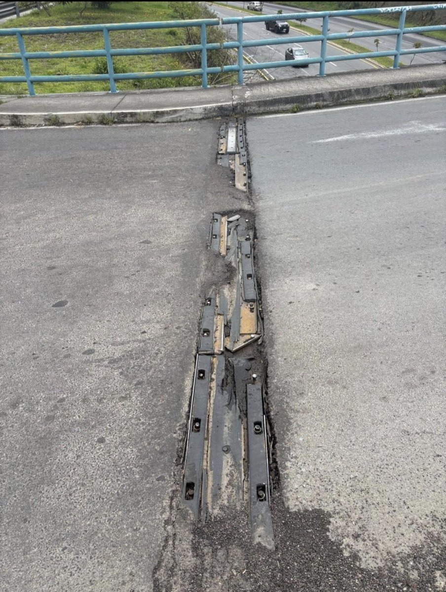 Beatriz Peñaloza tweet media