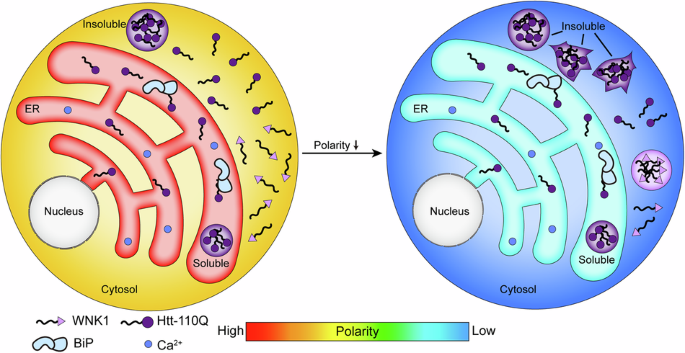 Communications Biology tweet media
