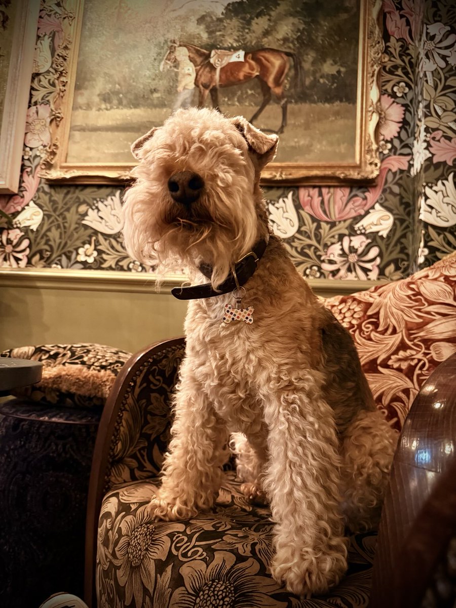 Bertie Lakeland tweet media