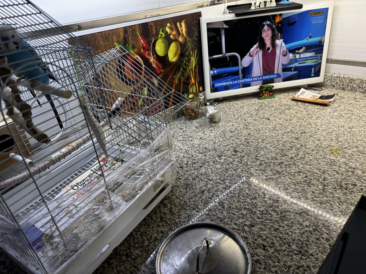 spot cas tweet media