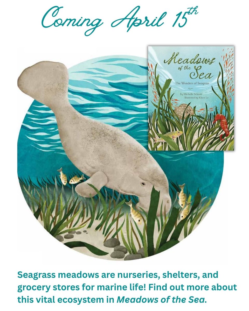 Michelle Schaub tweet media