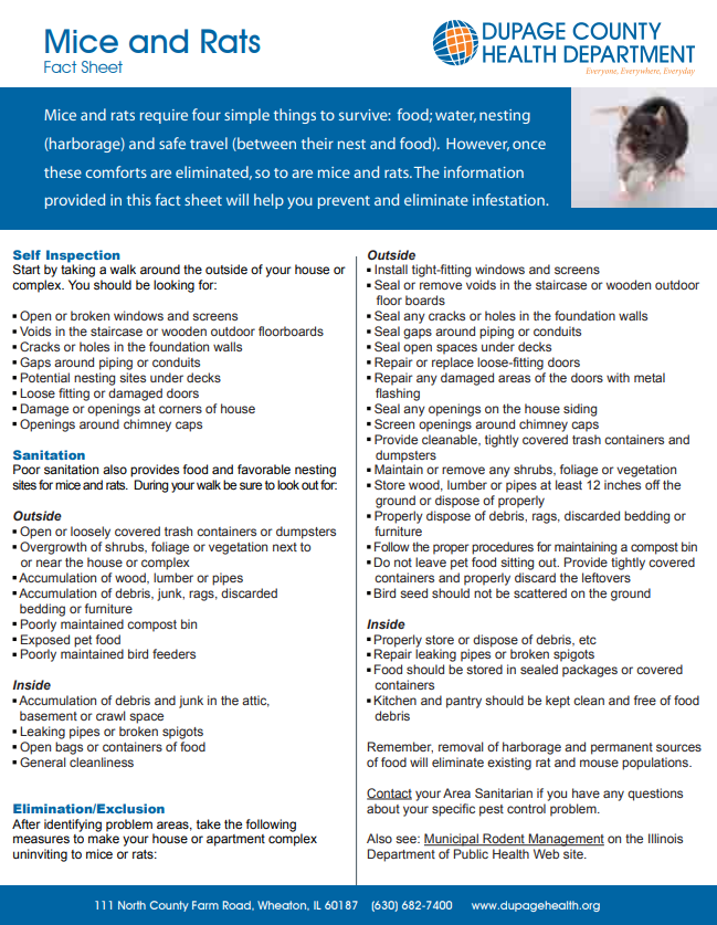 Village Addison tweet media