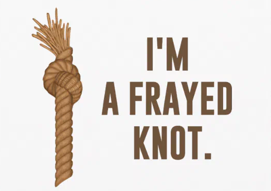 Nobody Special tweet media